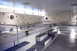 Yunomori Onsen & Spa Onsen Day Pass
