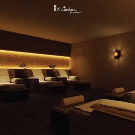 Natureland Therapeutic Massage (60 min)